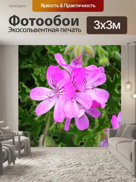 Фотообои Розовый сад Flora