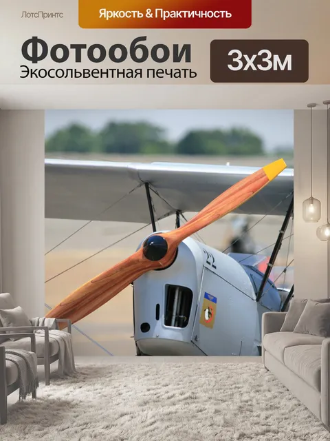 Фотообои Stampe биплан