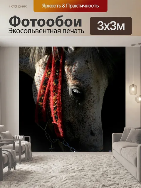 Фотообои Белая лошадь