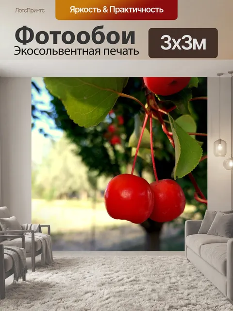 Фотообои Дикие фрукты
