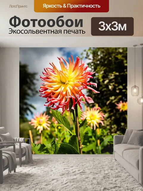 Фотообои Цветы