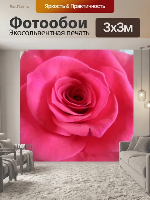 Фотообои Роза