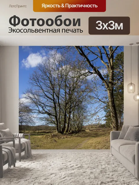 Фотообои Деревья