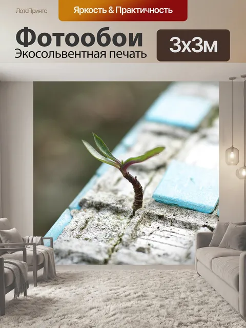 Фотообои Трава