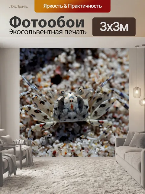 Фотообои Животное