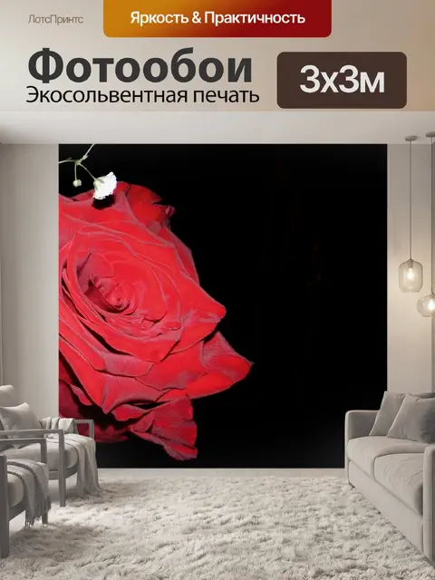 Фотообои Розы
