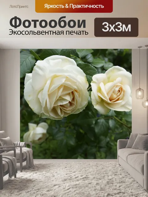 Фотообои Роза