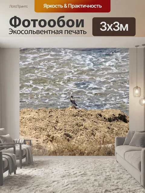 Фотообои Ворона на скале около океана