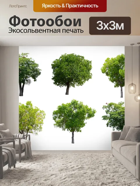 Фотообои Дерево