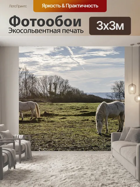 Фотообои Лошадь