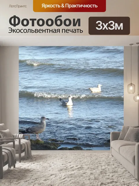 Фотообои Чайка