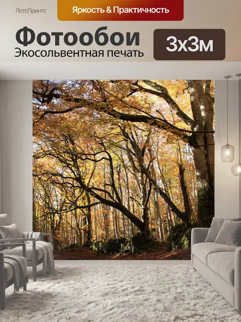 Фотообои Лес