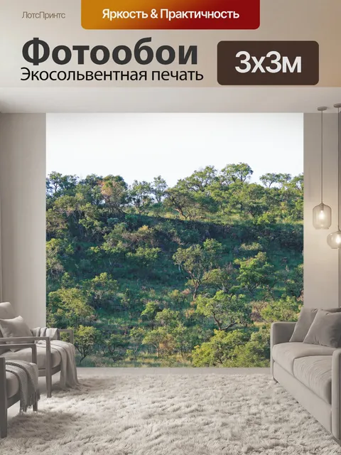 Фотообои гребень на склоне