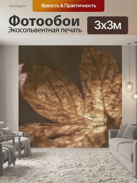 Фотообои Лист
