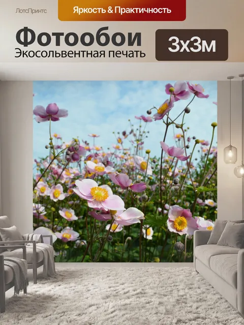 Фотообои Анемоны