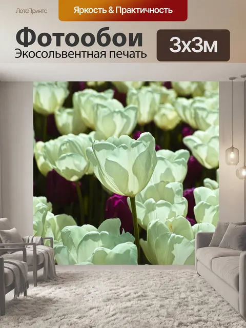 Фотообои Белый
