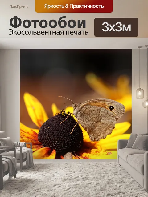 Фотообои Бабочка