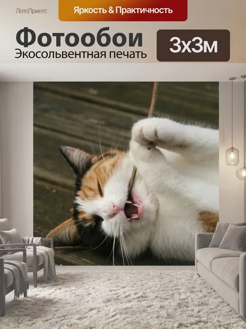 Фотообои Кошка