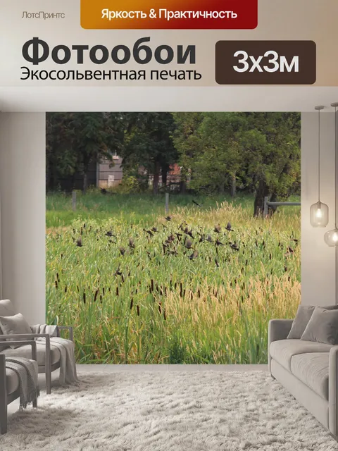 Фотообои Стая черных птиц