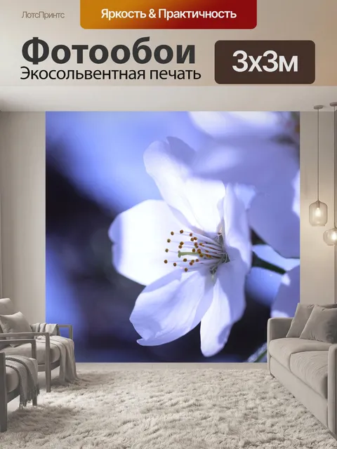 Фотообои Сакура