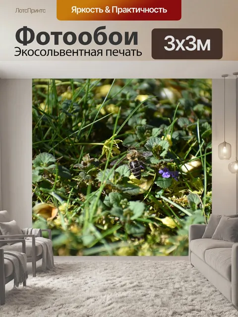 Фотообои Цветы