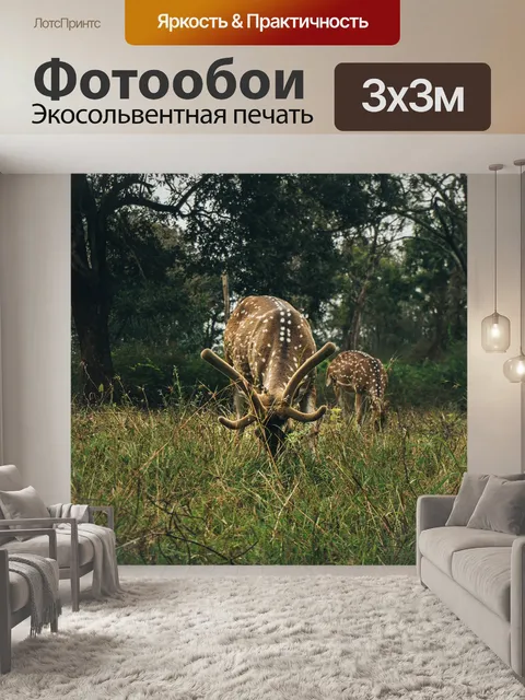 Фотообои Олень
