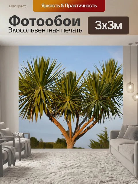 Фотообои Ладони