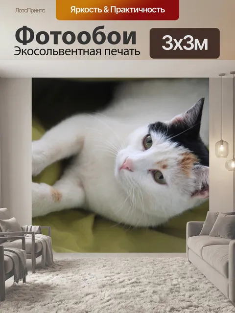 Фотообои Кошка