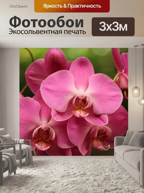 Фотообои Цветы