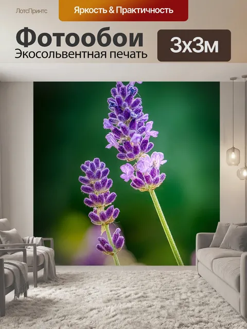 Фотообои Лаванда
