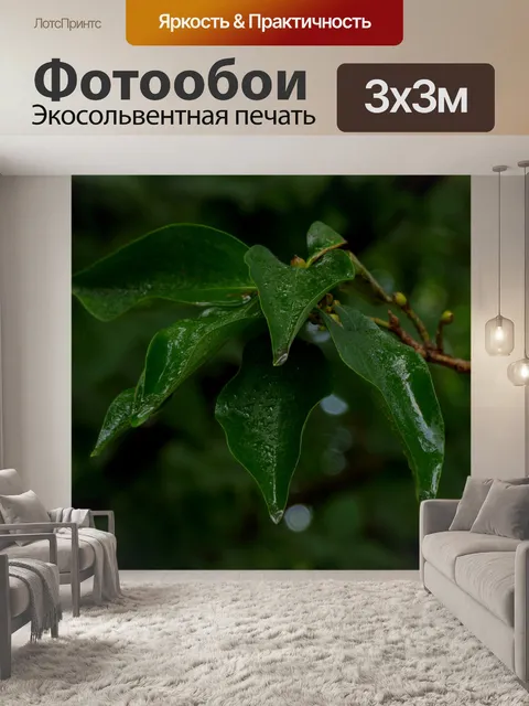 Фотообои Листья