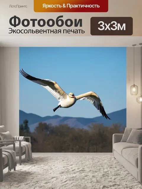 Фотообои лебедь с расправленными крыльями, парящий высоко в небе над живописным пейзажем с горами на заднем плане