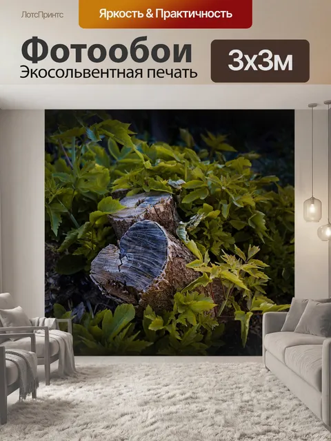 Фотообои Лес