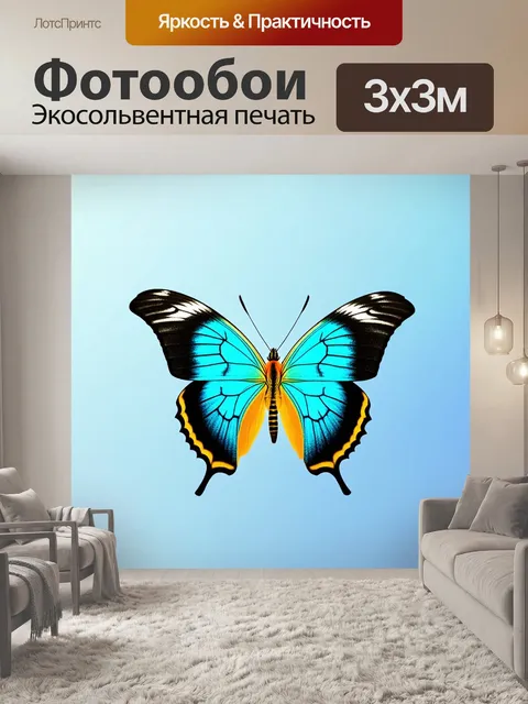 Фотообои бабочки