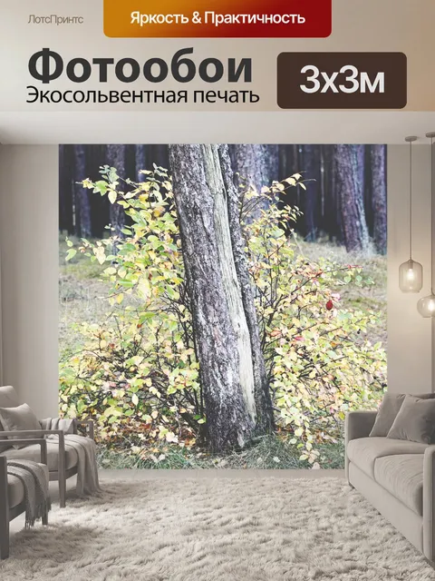 Фотообои Дерево