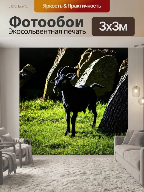 Фотообои на заброшенном пастбище, между старыми, засыпанными травой камнями, величественно стоит силуэт черной козы