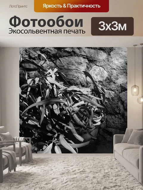Фотообои Листья