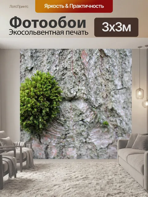 Фотообои Лес
