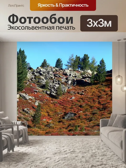 Фотообои Лес