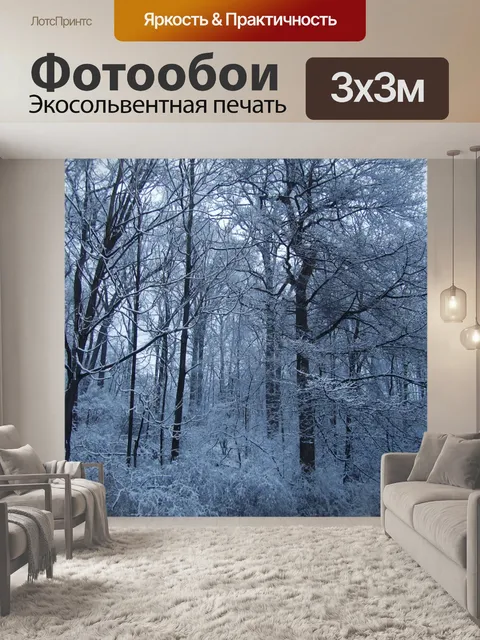 Фотообои Зимние деревья