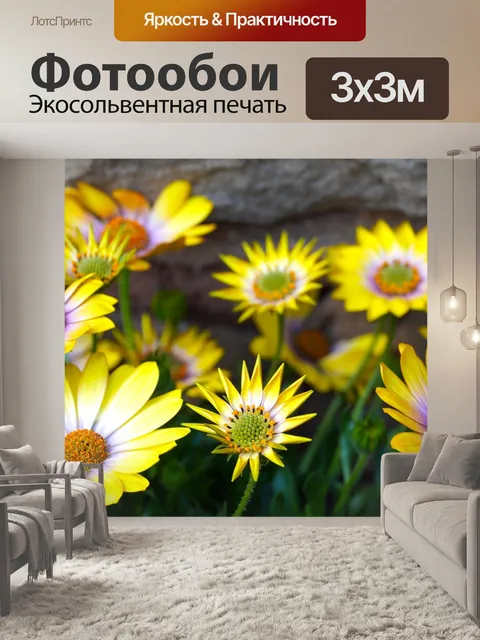 Фотообои Желтые цветы