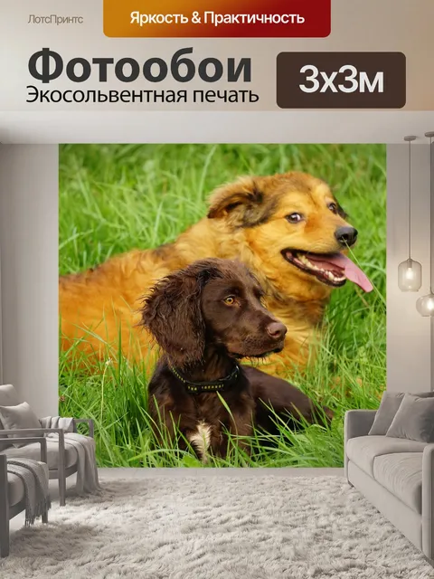 Фотообои Собаки