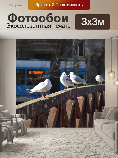 Фотообои Чайки
