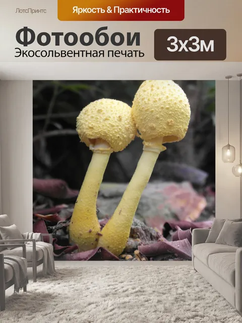 Фотообои Желтые Лесные грибы