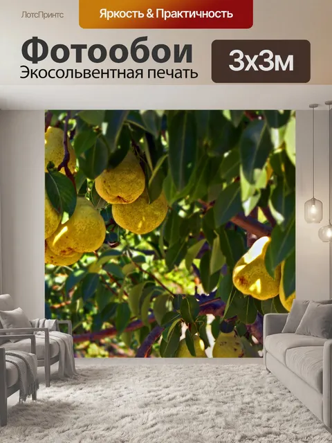 Фотообои Груши - Furit готовы подобрать и съесть
