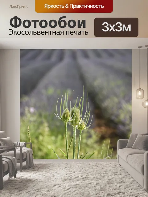 Фотообои Сорняки