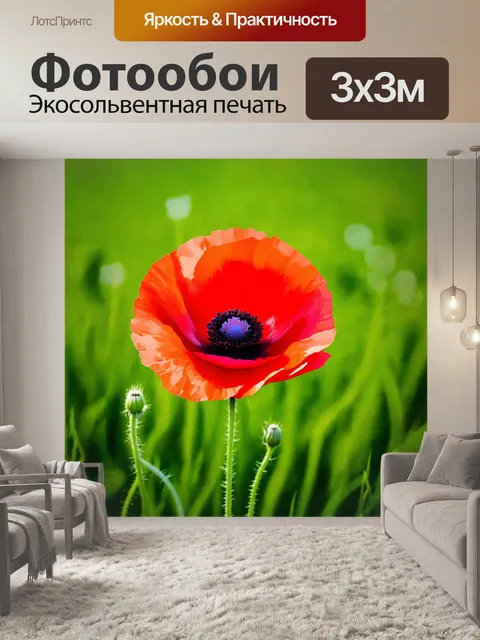 Фотообои красный мак на фоне мягко размытых зеленых трав