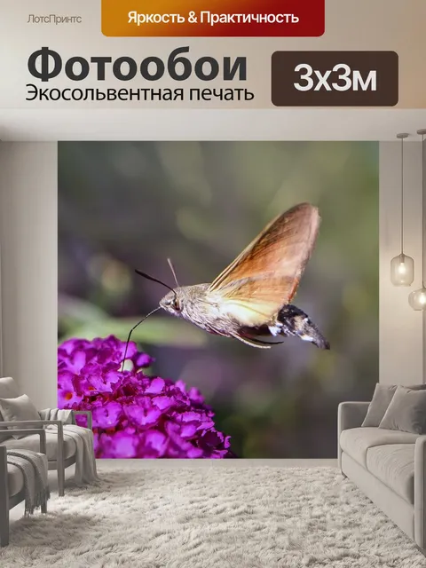 Фотообои Бабочка