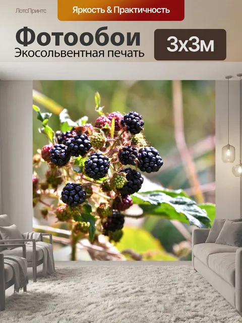 Фотообои Ежевика