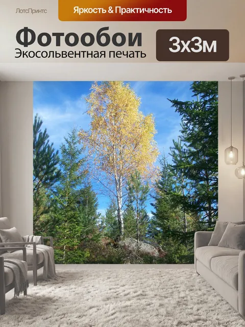 Фотообои Береза